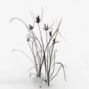Outdoor Decorative Plant 3d model