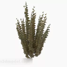 Red Leaf Bushes Plant 3d model