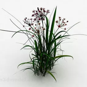 Sword Shaped Leaf Grass 3d model