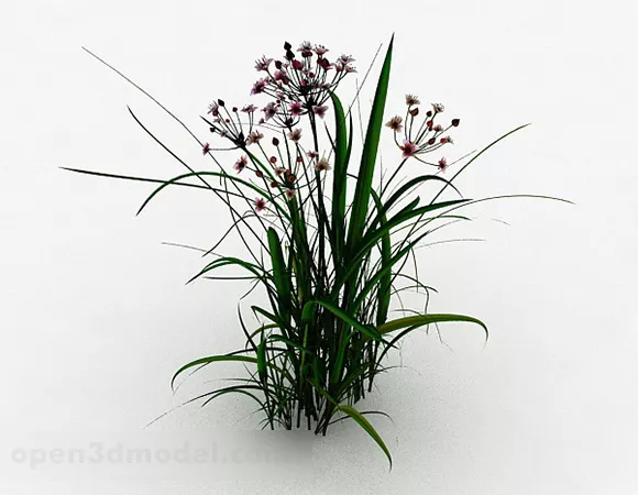 Sword Shaped Leaf Grass 3d model Sword Shaped Leaf Grass 3d model