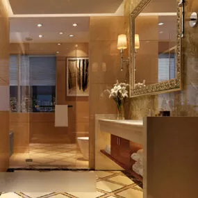 Bathroom Door Interior 3d model
