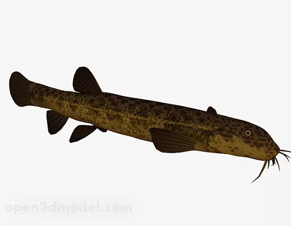 Beard Fish Animal 3d model Beard Fish Animal 3d model