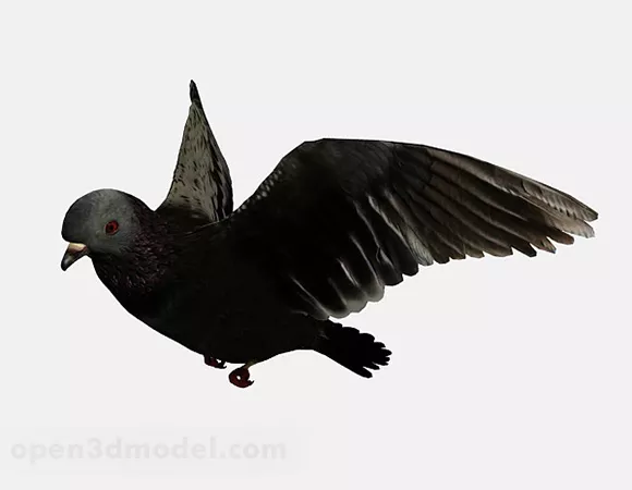 Pigeon Bird 3d model Pigeon Bird 3d model