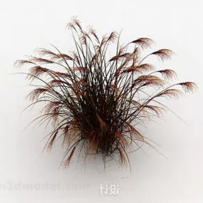 Wild Brown Weed 3d model