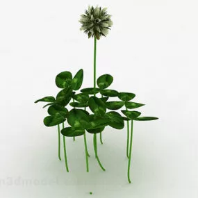 Clover Plant 3d model