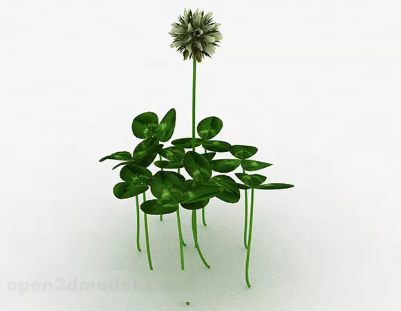 Clover Plant 3d model Clover Plant 3d model