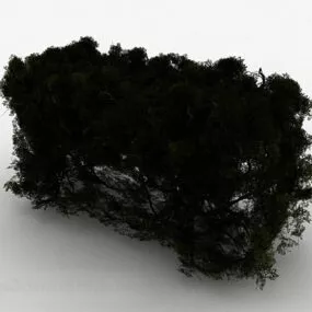 Dark Green Family Landscape Plant 3d model