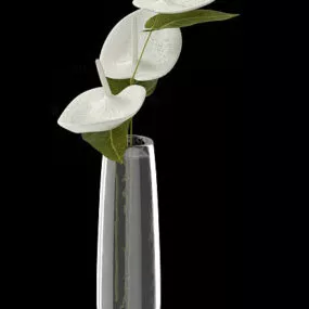 Decoration Vase Plant 3d model