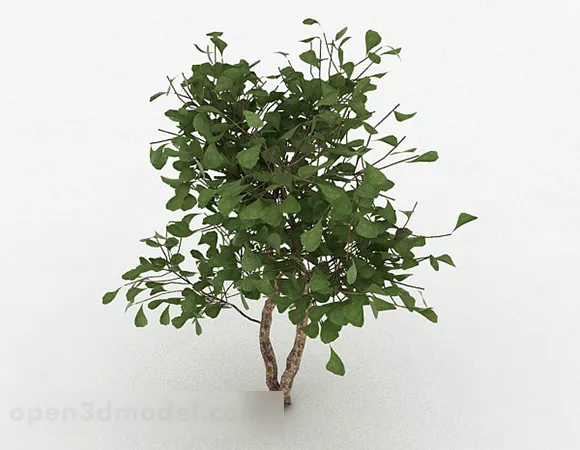 Garden Plant Ornamental Tree 3d model Garden Plant Ornamental Tree 3d model