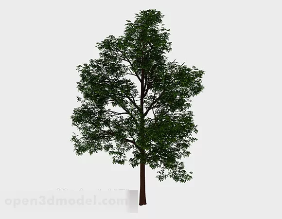 Forest Green Tall Tree 3d model Forest Green Tall Tree 3d model