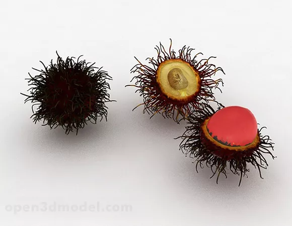 Fruit Rambutan 3d model Fruit Rambutan 3d model