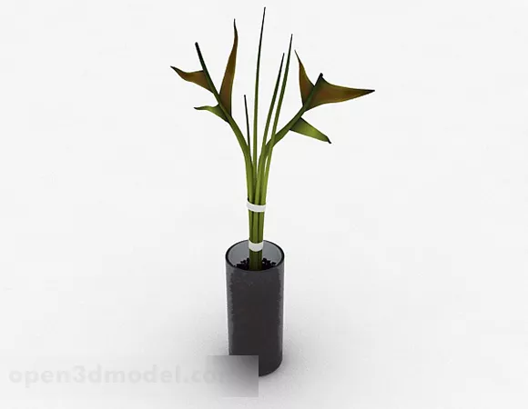 Glassware Indoor Potted Plant 3d model Glassware Indoor Potted Plant 3d model