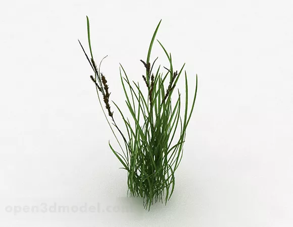 Garden Green Grass V1 3d model Garden Green Grass V1 3d model