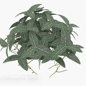 Green Clover Plant 3d model