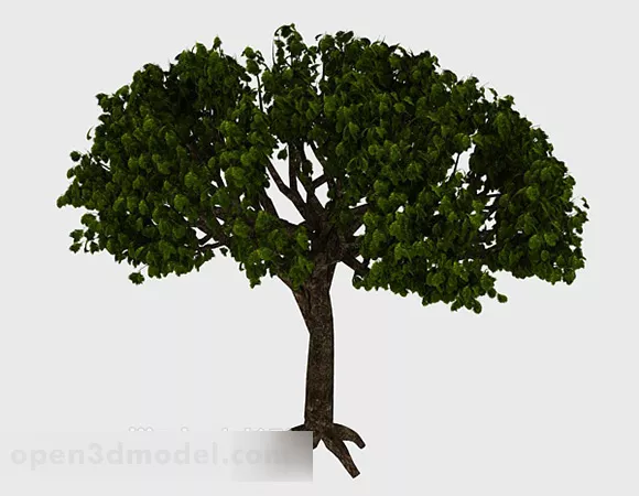 Green Fan Tree 3d model Green Fan Tree 3d model