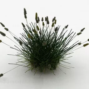 Green Grass Garden Plant 3d model