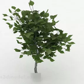 Green Leaves Ornamental Plant 3d model