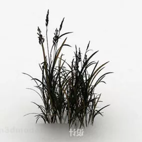 Green Outdoor Plant 3d model