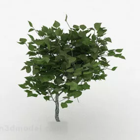 Green Oval Leaves Ornamental Plant 3d model