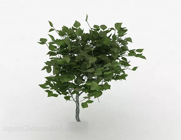 Green Oval Leaves Ornamental Plant 3d model Green Oval Leaves Ornamental Plant 3d model