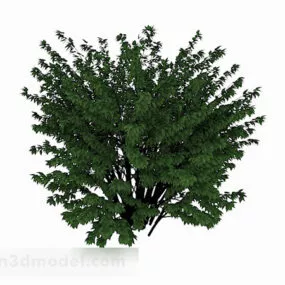 Green Park Flower 3d model