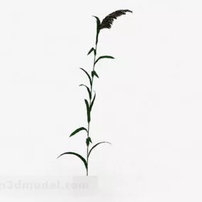 Green Plant Garden 3d model