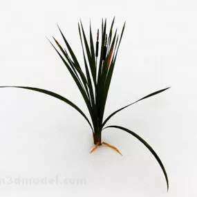 Green Rhizome Garden Plant 3d model
