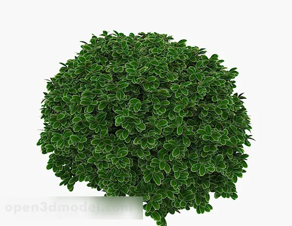 French Garden Hedge Module 3d model