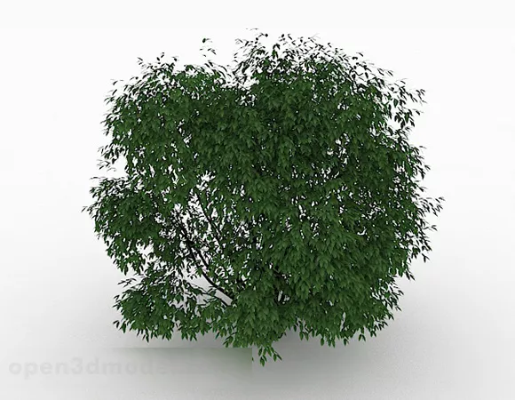 Green Small Leaf Tree 3d model Green Small Leaf Tree 3d model