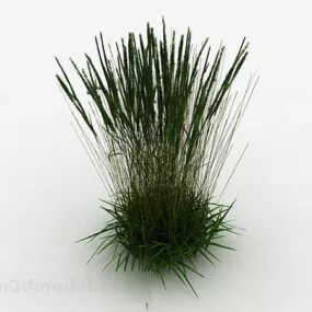 Green Thatch Plant 3d model