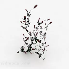 Horsetail Flower Plant 3d model