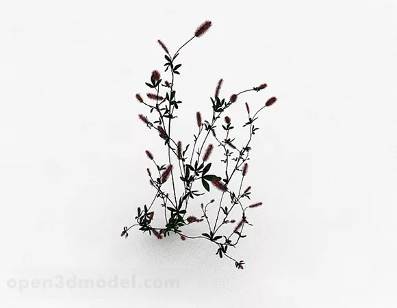Horsetail Flower Plant 3d model Horsetail Flower Plant 3d model