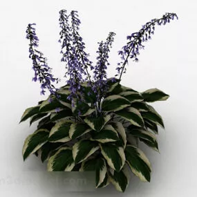 Indoor Ornamental Potted Plant 3d model