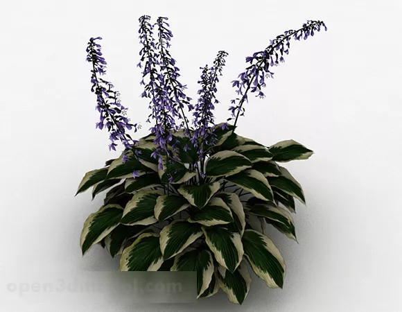 Indoor Ornamental Potted Plant 3d model Indoor Ornamental Potted Plant 3d model