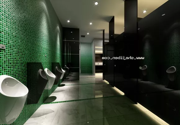 General Toilet Sanitary 3d model