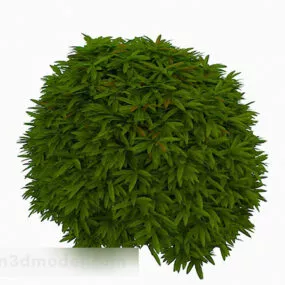 Low Green Plant Garden Decor 3d model
