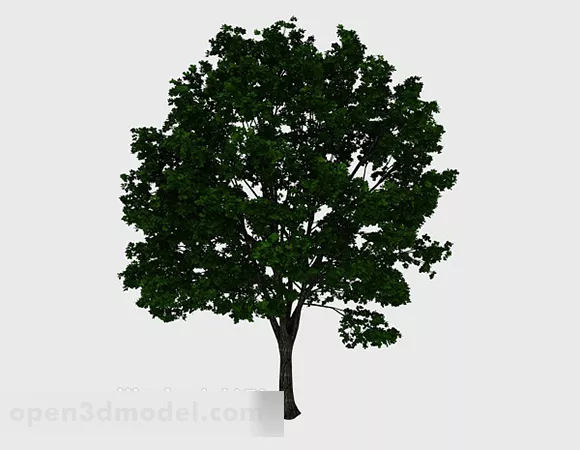 Lush Tree 3d model Lush Tree 3d model