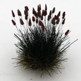 Needle Leaf Grass 3d model