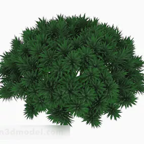 Needle Shaped Green Plant 3d model