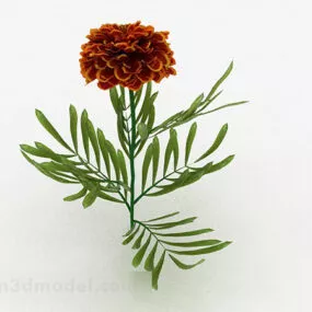 Orange Big Flower 3d model