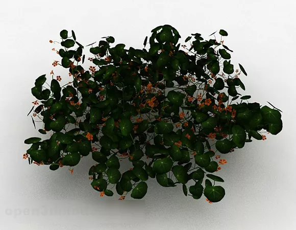Orange Flower Ornamental Bushes 3d model Orange Flower Ornamental Bushes 3d model