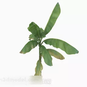Outdoor Banana Tree V1 3d model