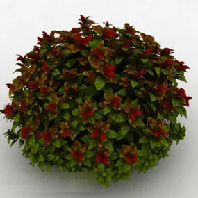 Outdoor Decorative Flower 3d model