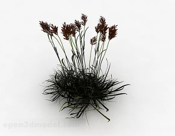 Grass Plant On Land 3d model