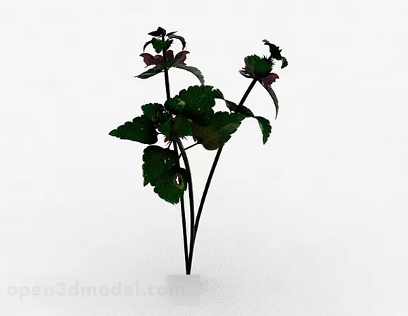 Outdoor Green Flower 3d model Outdoor Green Flower 3d model