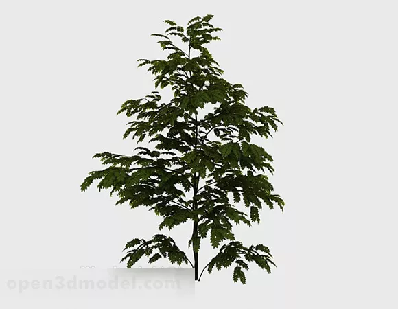 Outdoor High Tree 3d model Outdoor High Tree 3d model
