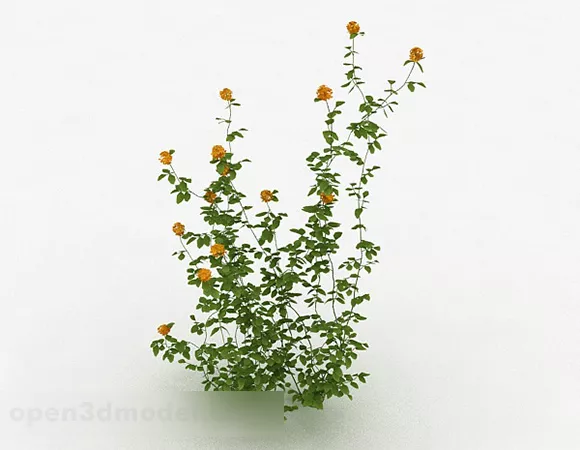 Outdoor Yellow Flower Plant 3d model Outdoor Yellow Flower Plant 3d model