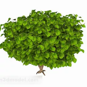 Oval Large Leaf Shrub 3d model