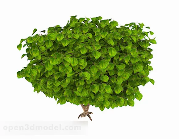 Oval Large Leaf Shrub 3d model Oval Large Leaf Shrub 3d model