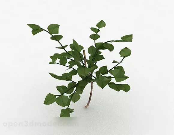 Oval Leaf Bush 3d model Oval Leaf Bush 3d model